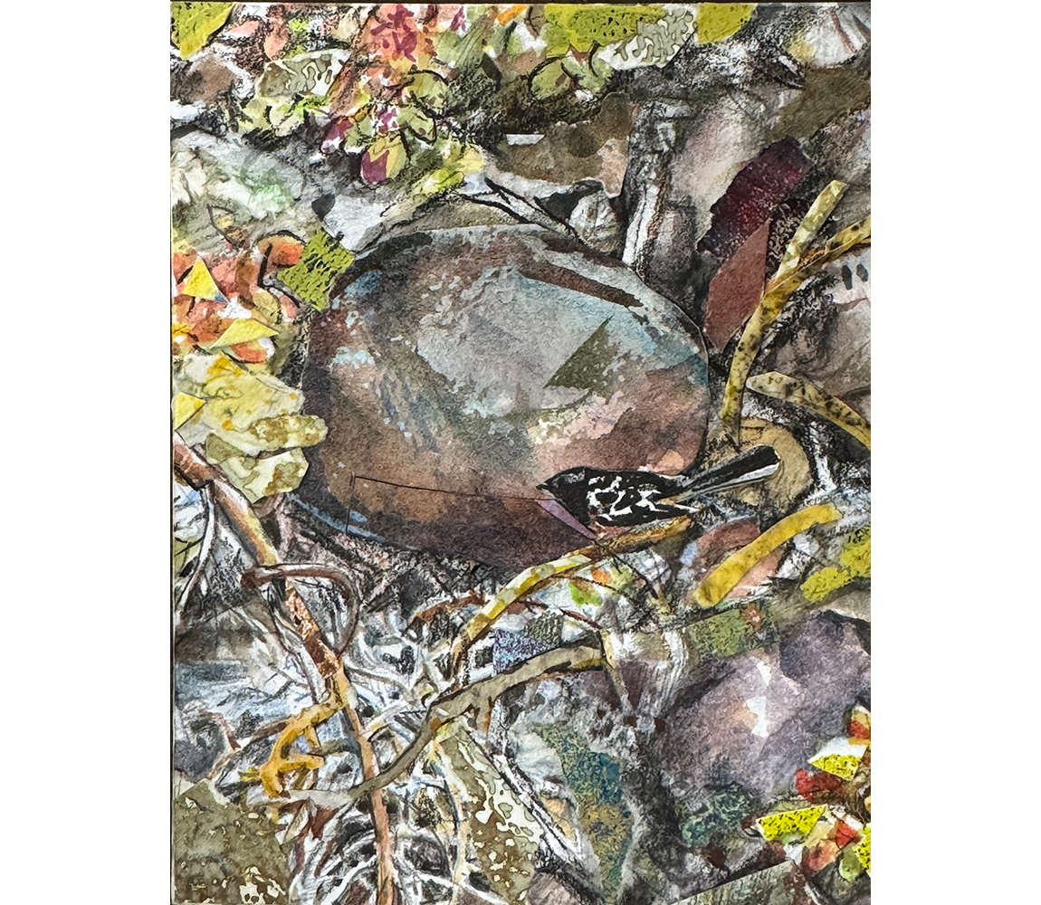 "A Pause in the Thicket" - Amy Fisher